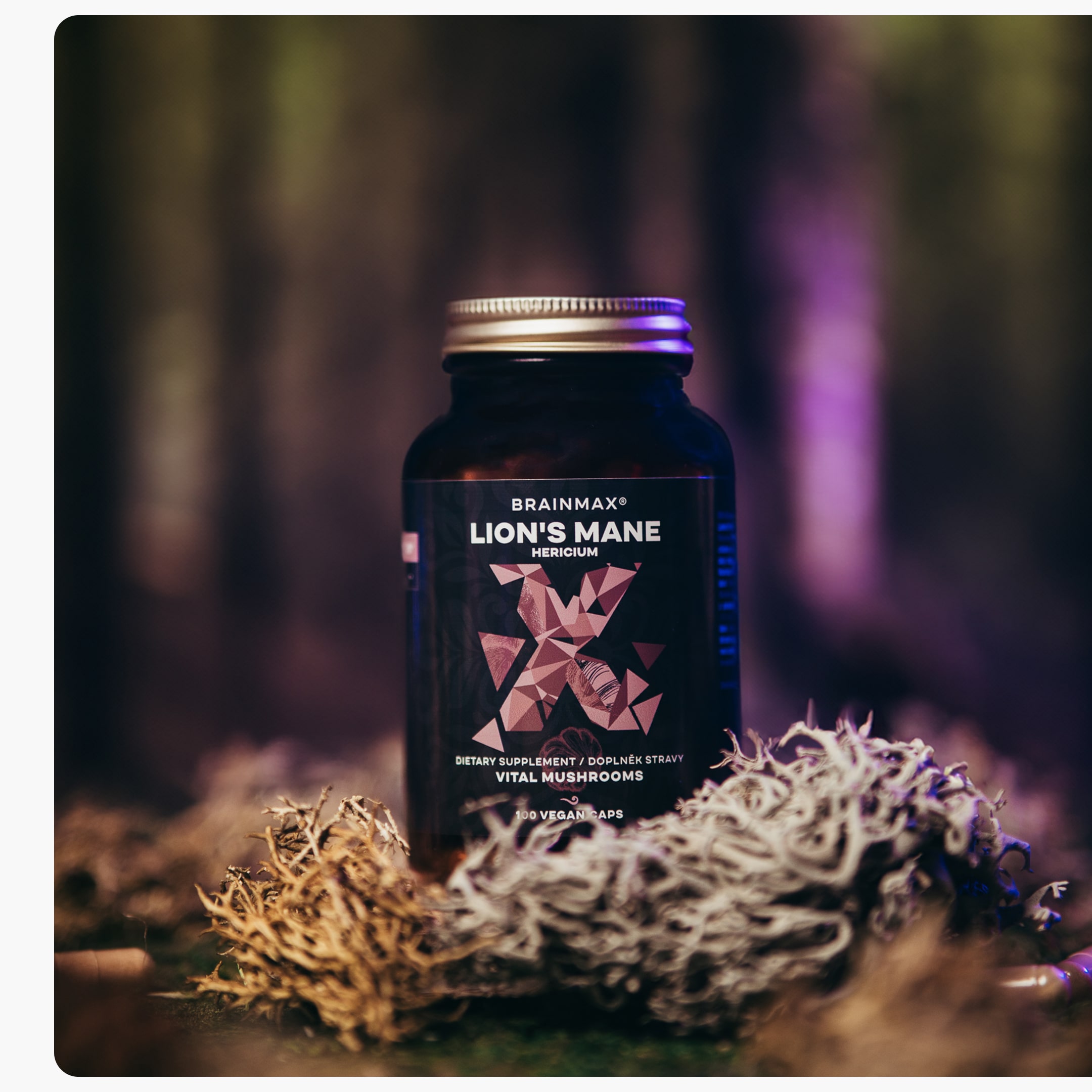 lions mane produkt1-min